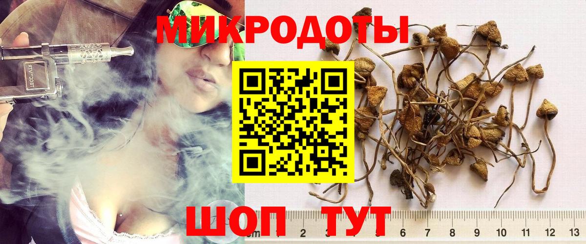 Галлюциногенные грибы MAGIC MUSHROOMS Полевской